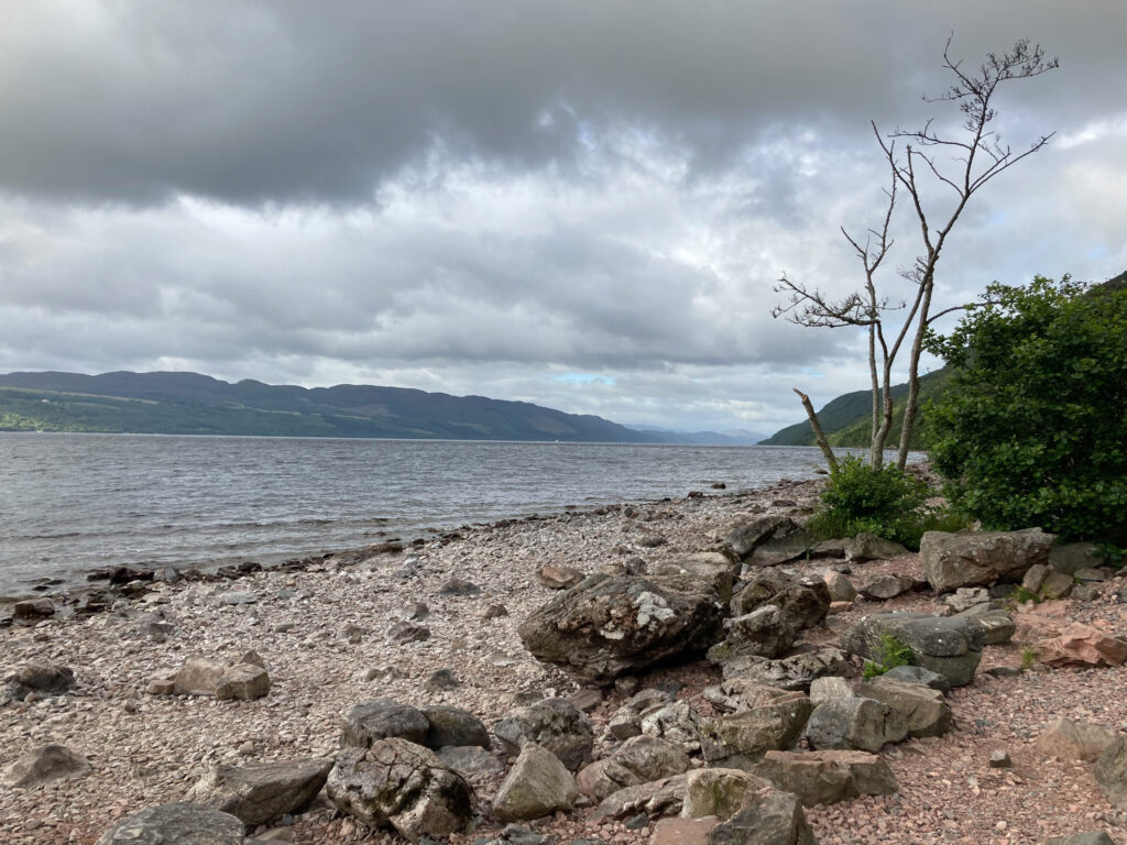 IMG_6459 Peter Mulder.jpg