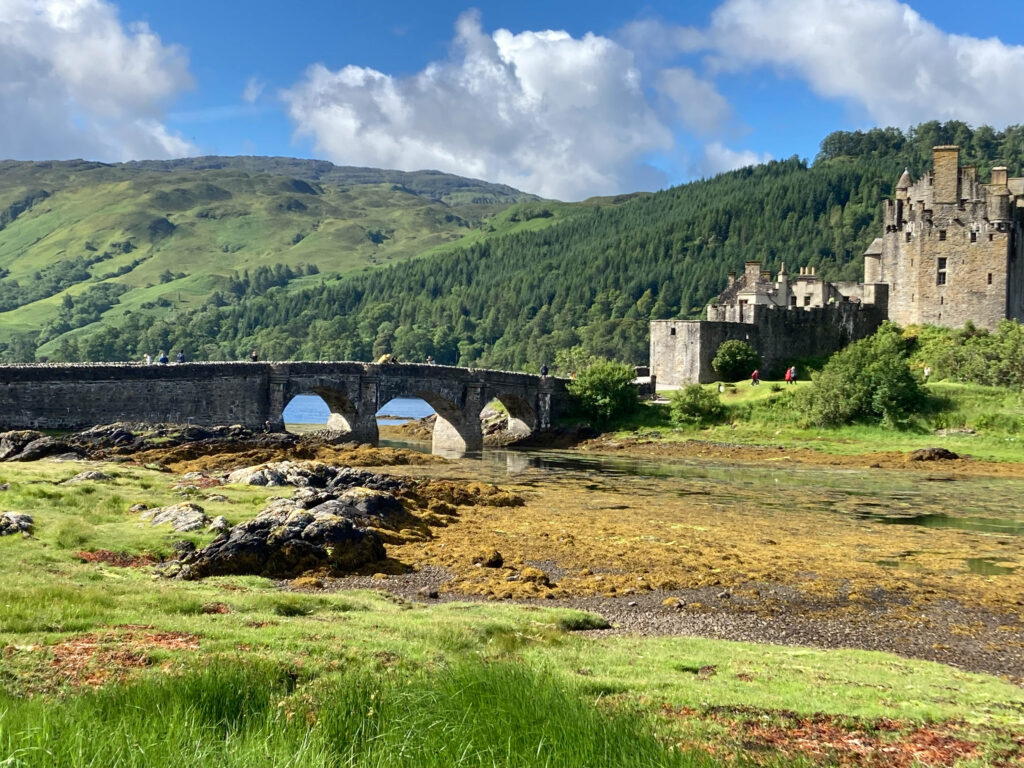 IMG_6470 Peter Mulder.jpg