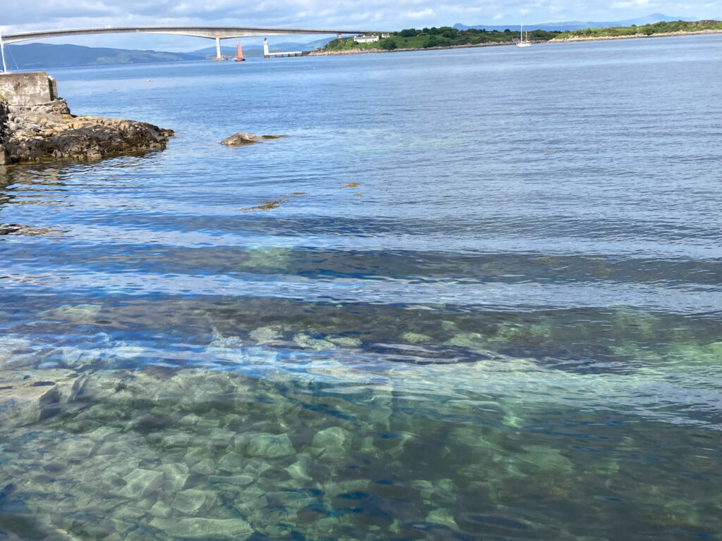 IMG_6487 Peter Mulder.jpg