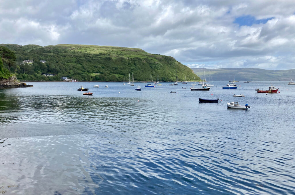 IMG_6503 Peter Mulder.jpg