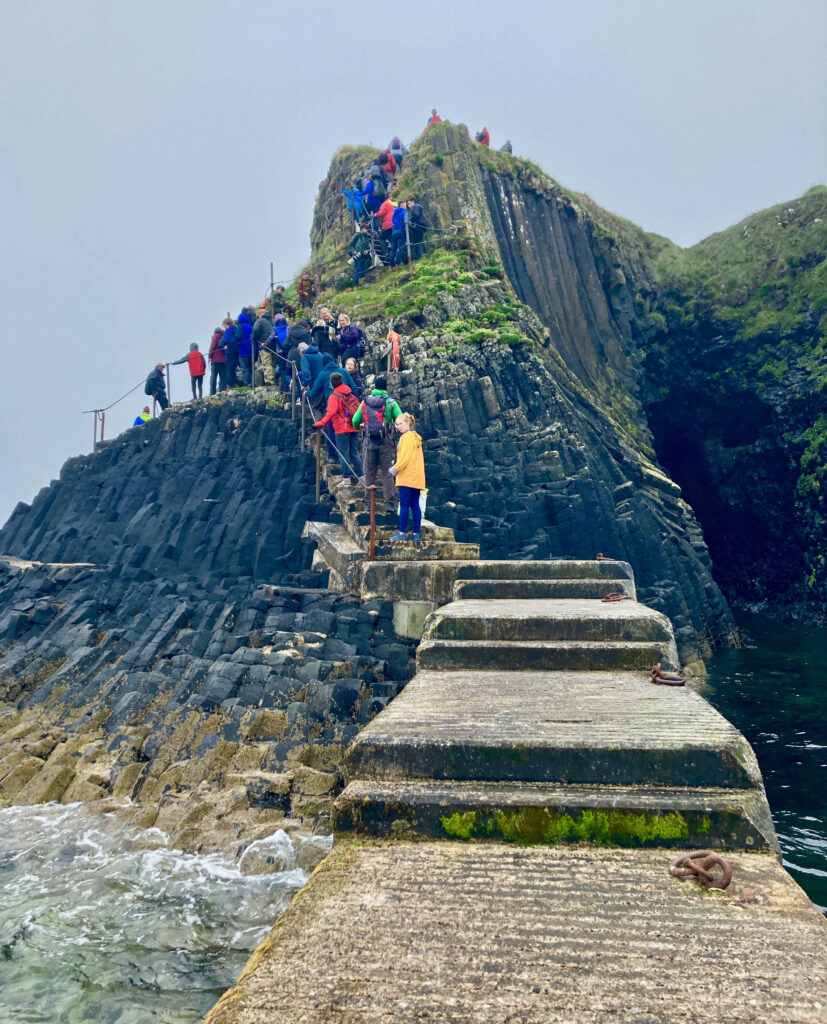 IMG_6608 Peter Mulder.jpg