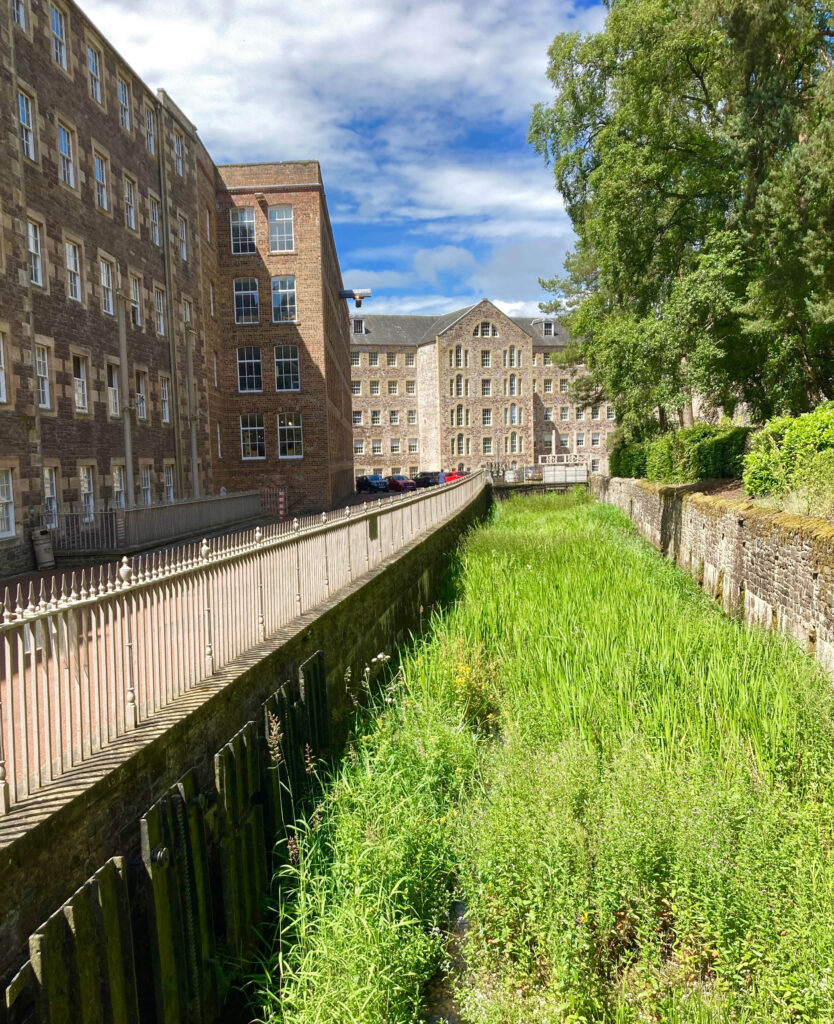 IMG_6636 Peter Mulder.jpg