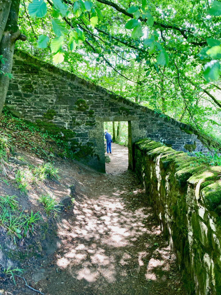 IMG_6648 Peter Mulder.jpg