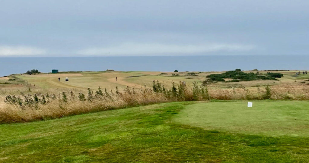 IMG_6715 Peter Mulder.jpg