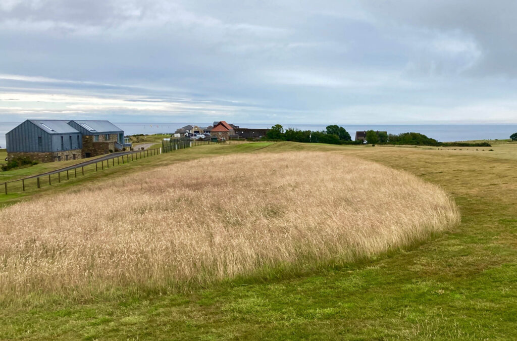 IMG_6716 Peter Mulder.jpg