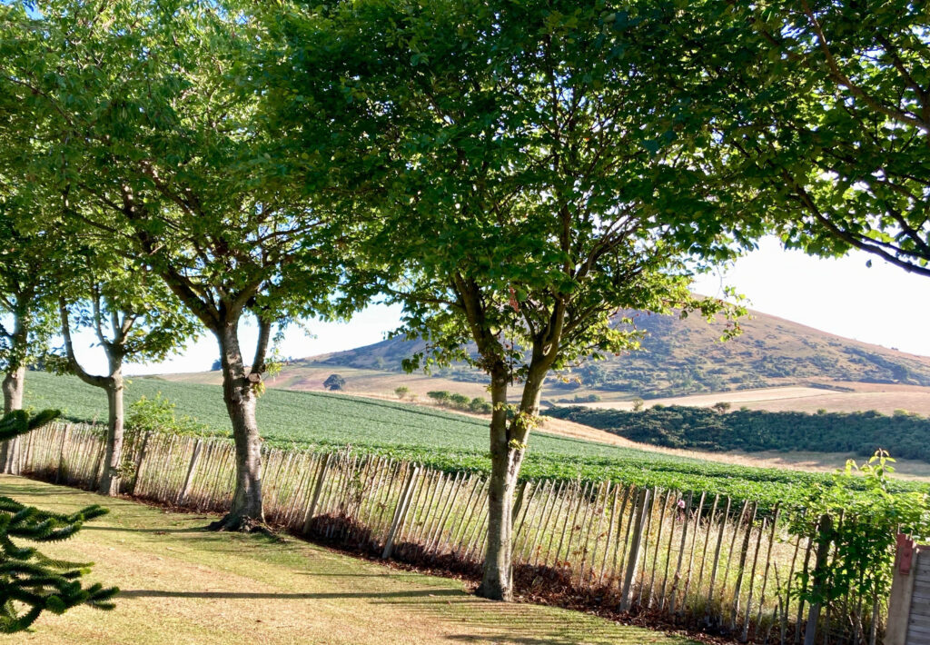 IMG_6741 Peter Mulder.jpg