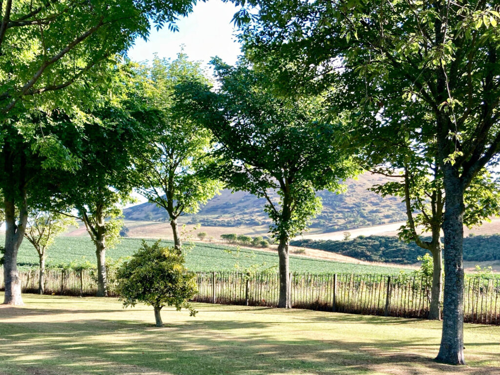 IMG_6743 Peter Mulder.jpg