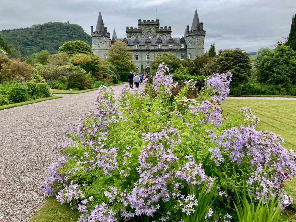 IMG_6770 Peter Mulder.jpg