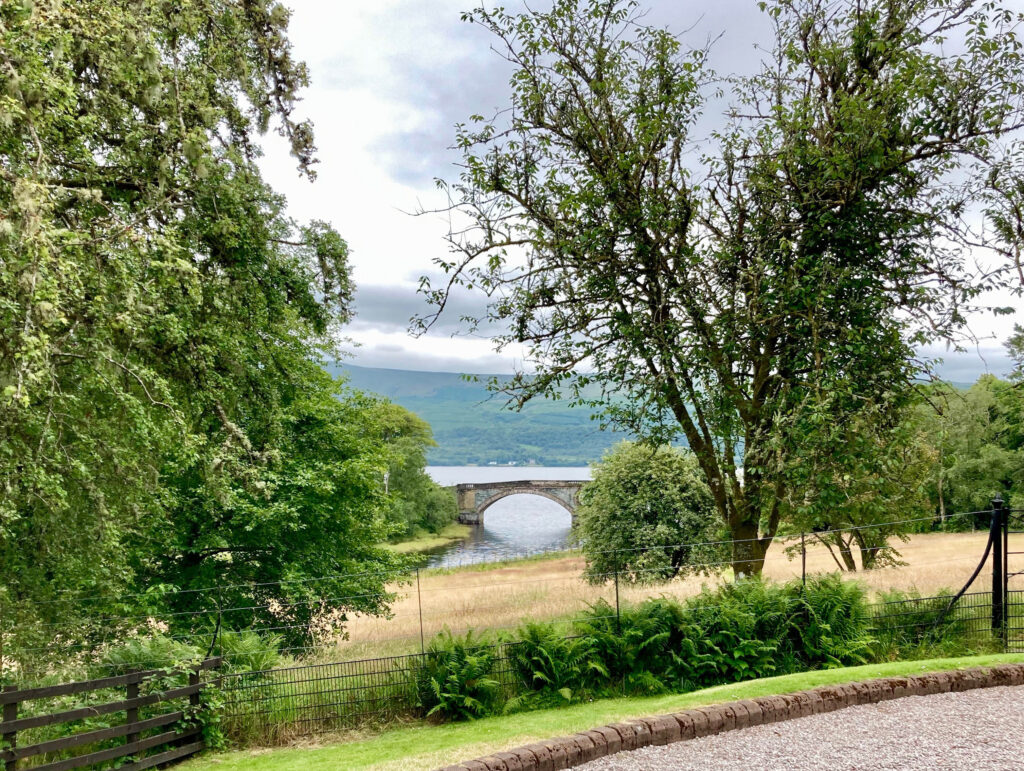 IMG_6779 Peter Mulder.jpg