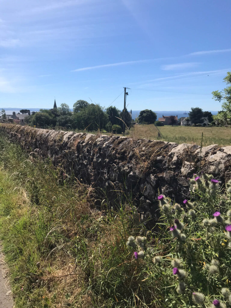 6F438131-31CF-421B-A51C-C07FB8D482C2 Bill Telleen.jpg